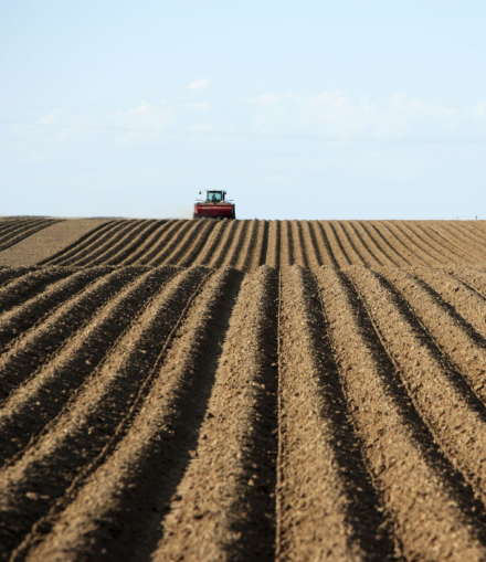 tracteur